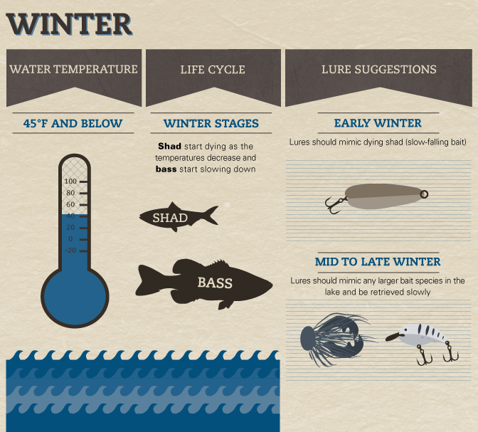 Catch MORE Bass This WINTER (Bass Fishing Tips) 