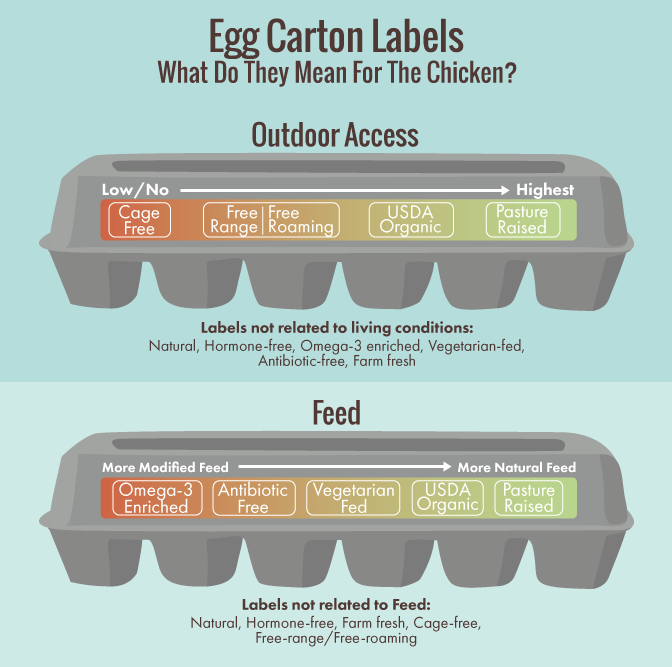 Cage-free or free-range? What those egg labels really mean