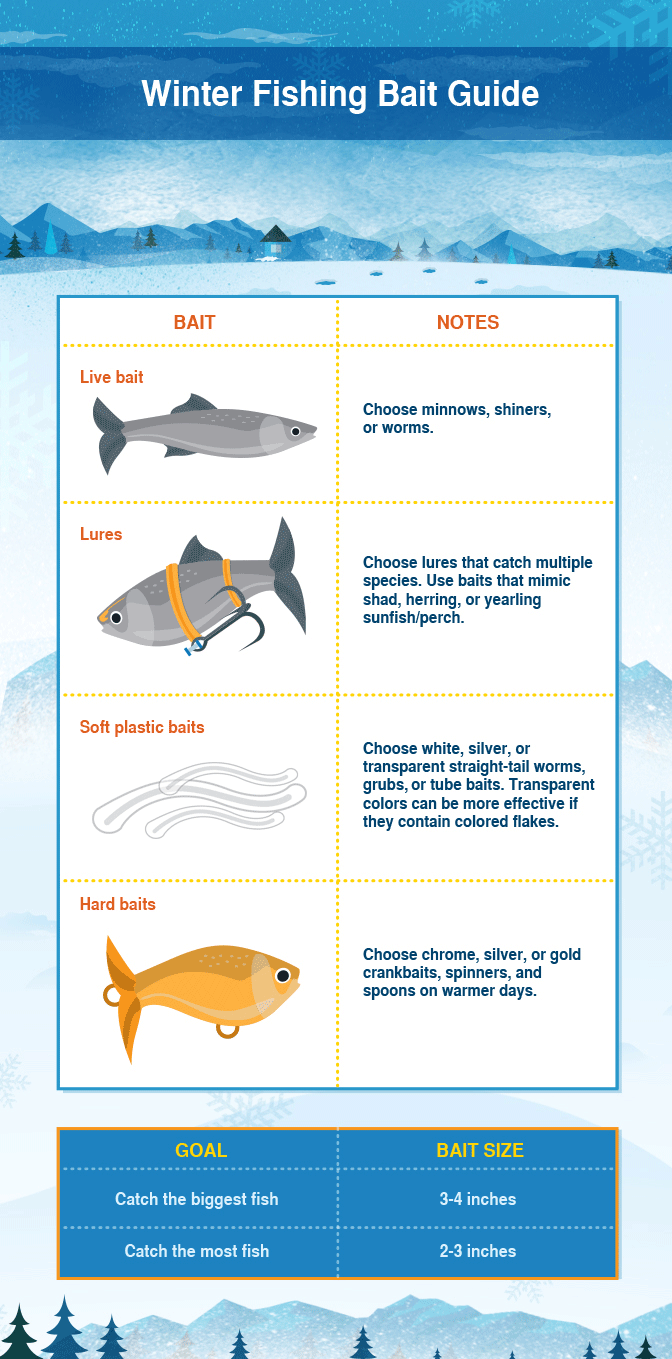 How to Fish in Winter