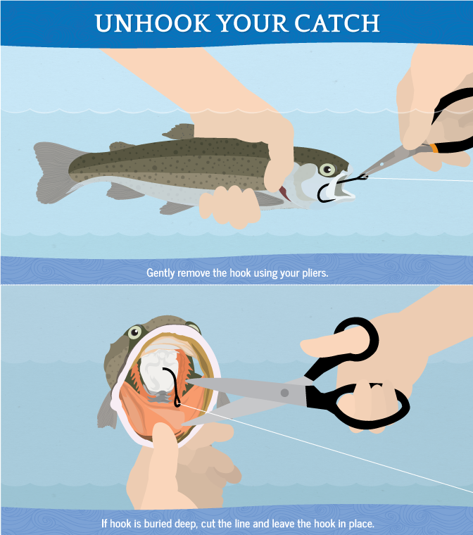 How to Set the Hook - Take Me Fishing