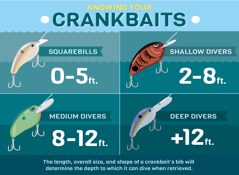 Facikono Crankbait Crank Baits Lures for Bass Fishing 10Pcs Deep Diving  Crankbaits Wobbler 3.94in Swimbait for Saltwater Freshwater (10 Color) :  : Sports & Outdoors