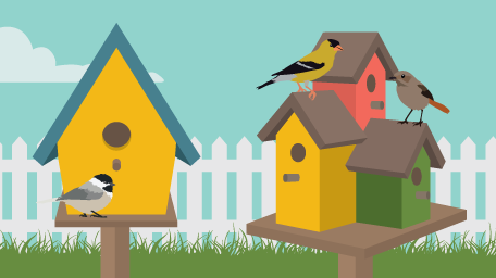 A Quick Guide to Building a Birdhouse