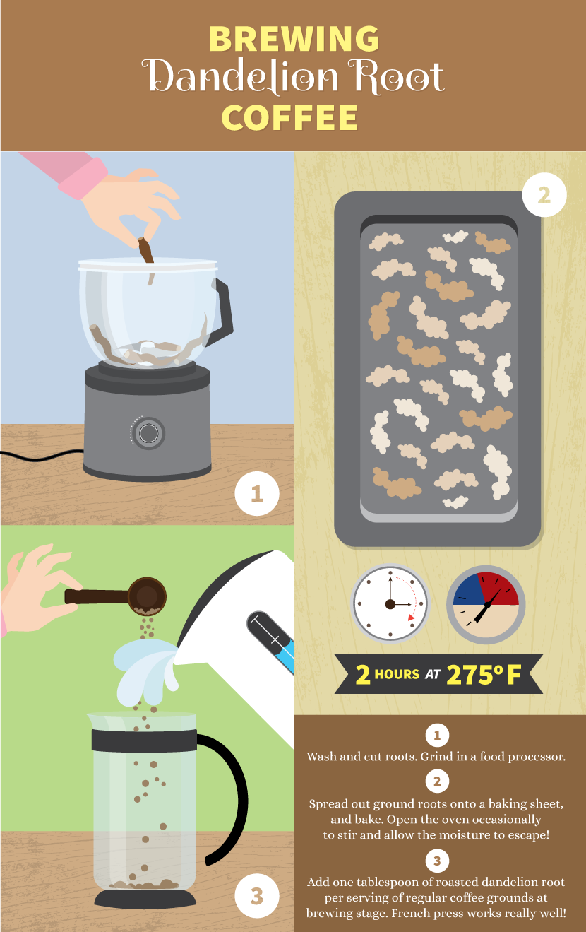 Foraging for Food: Dandelion Root Coffee