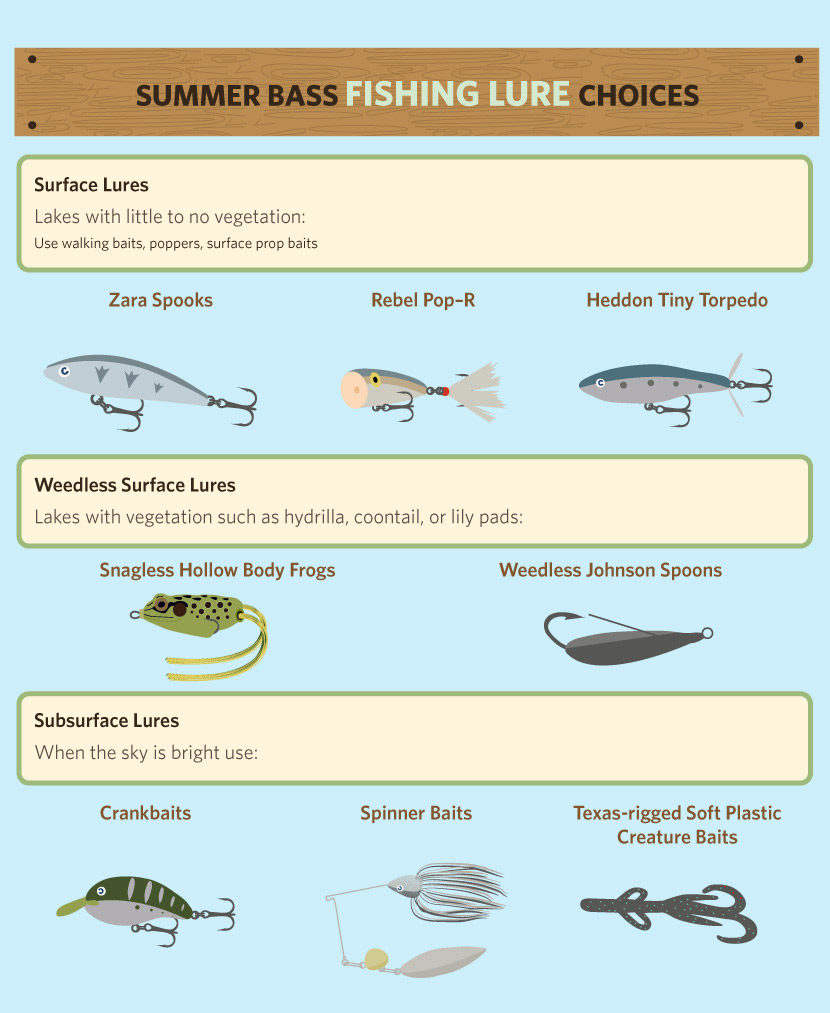 Summer Bass Fishing 101