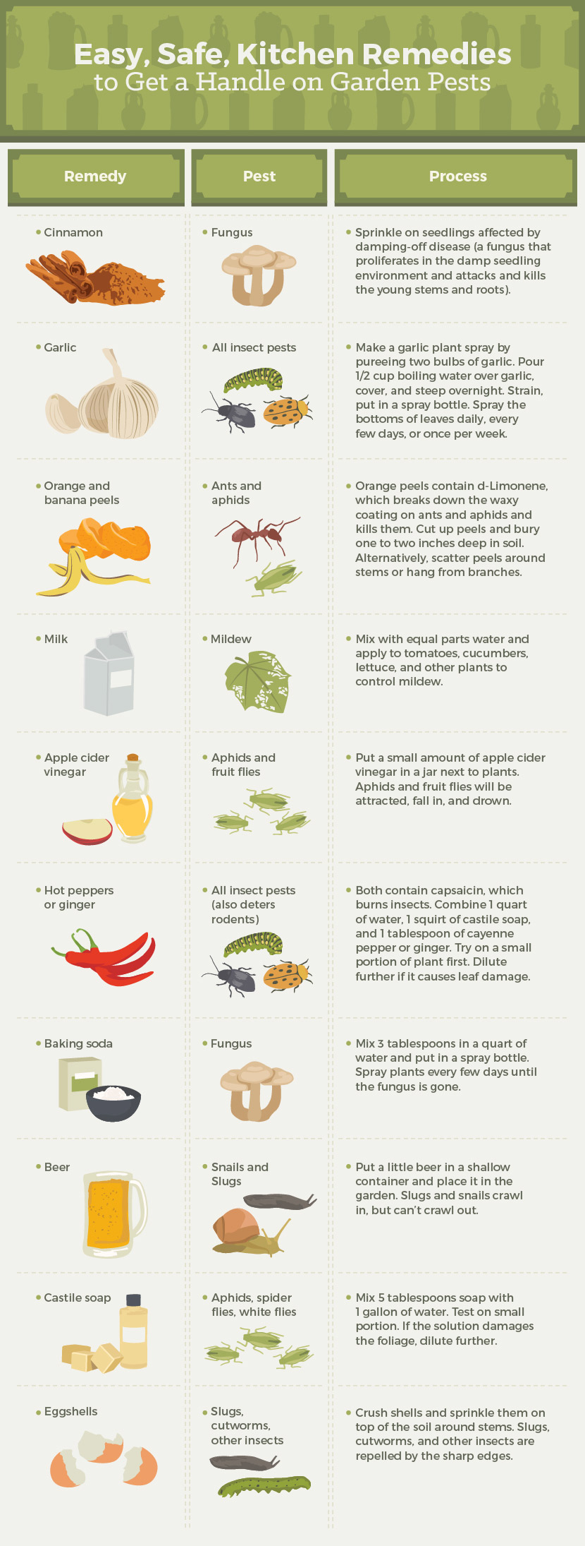 4 Common Foods That Attract Pests In Your Home - PestLock