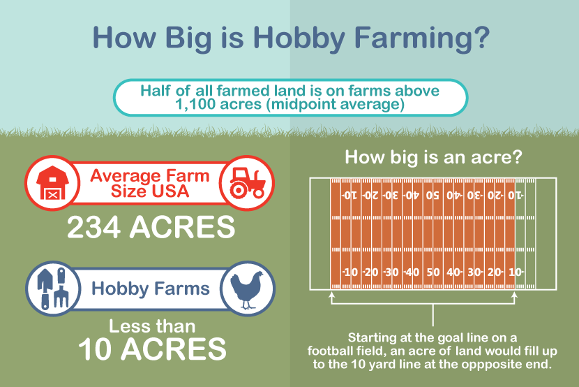 The Value Of A Snag - Hobby Farms