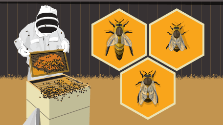 Become a Backyard Beekeeper