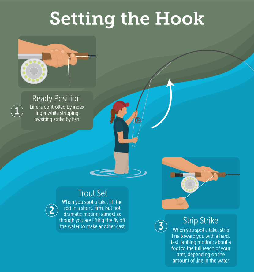 Tips for Hookiing and Playing Big Fish on a Fly Rod