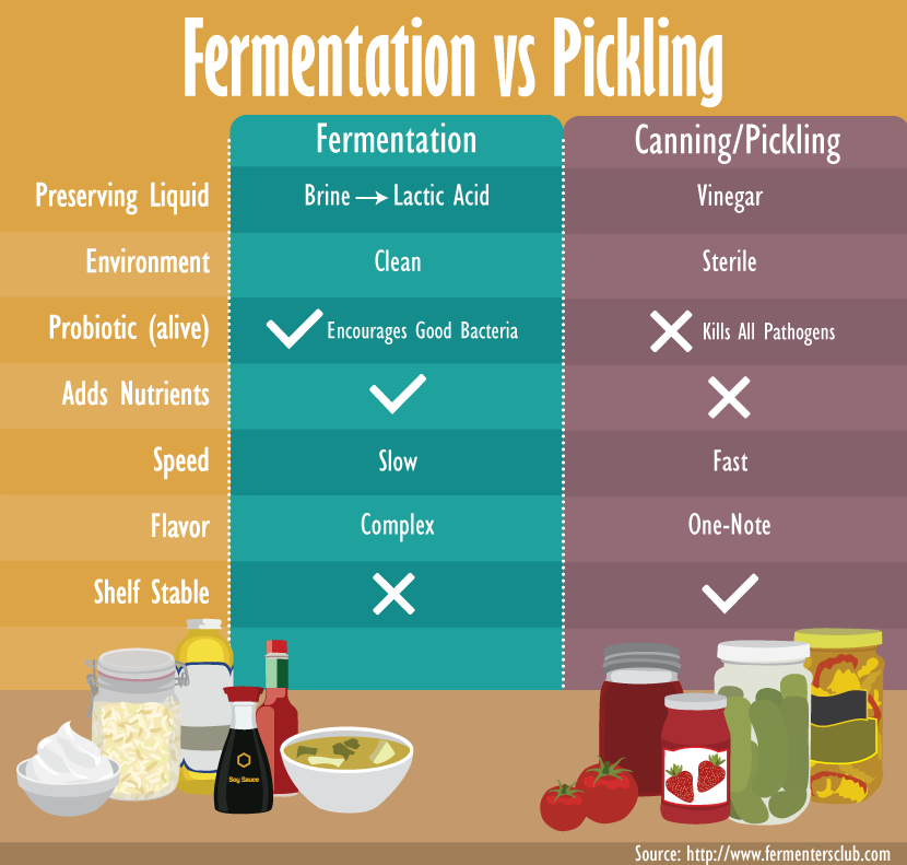 Fermented Food Benefits