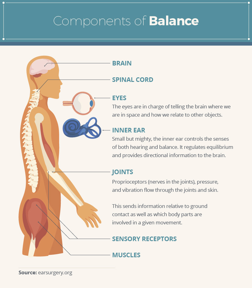 Components of Balance