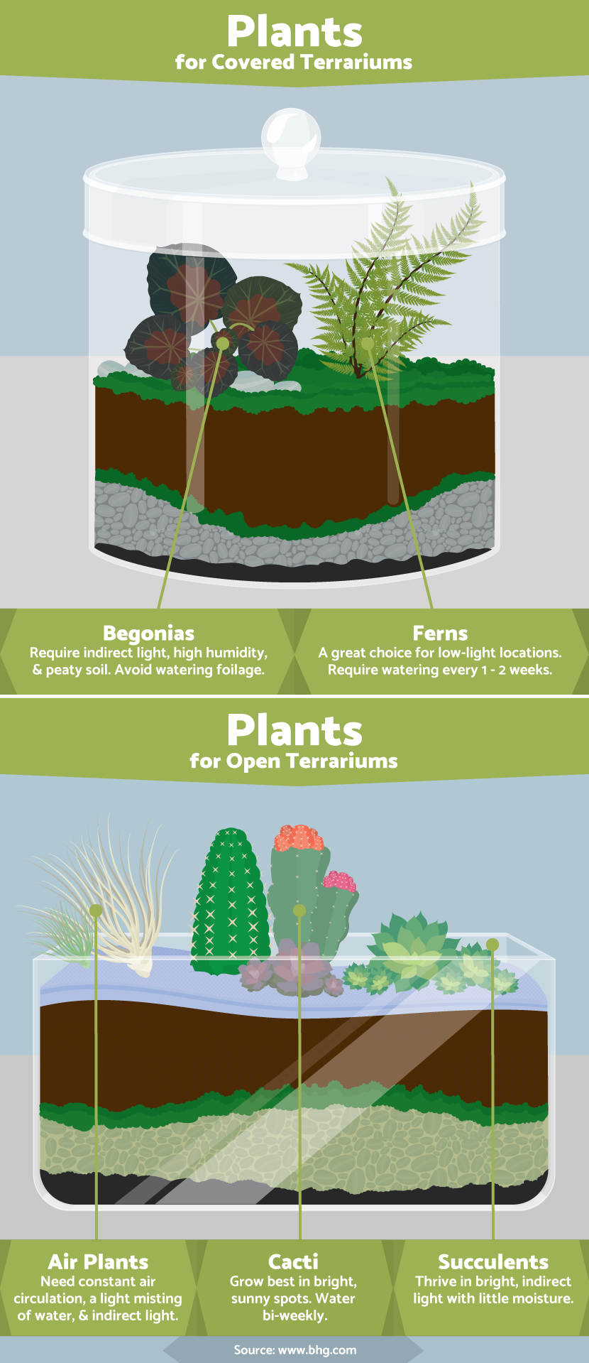 Terrarium Soil Layers And Their Functions (With Pictures) - Smart Garden  Guide