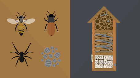 Insect Hotels