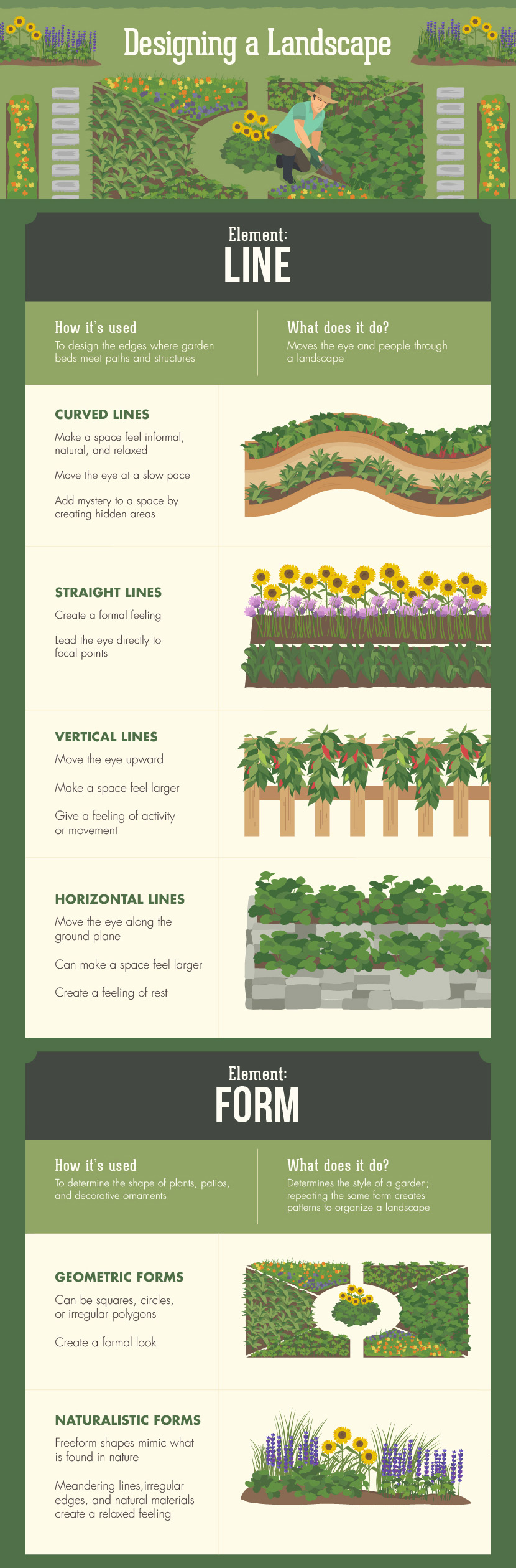 Blending Edible Landscape with Decorative: Designing a Landscape