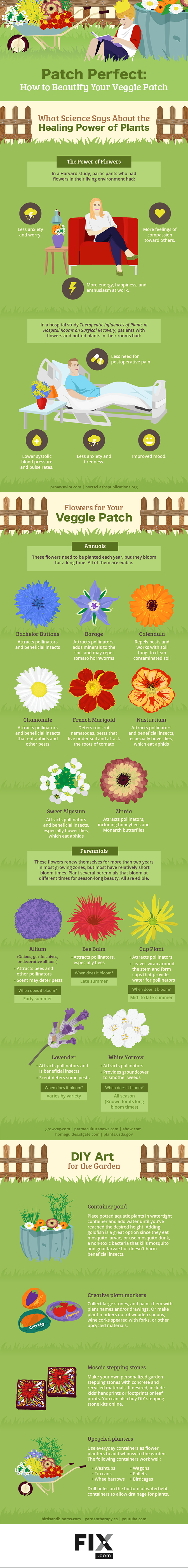 Beautify Your Veggie Patch