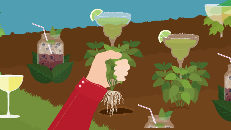 Grow Your Own Garden-to-Glass Cocktails