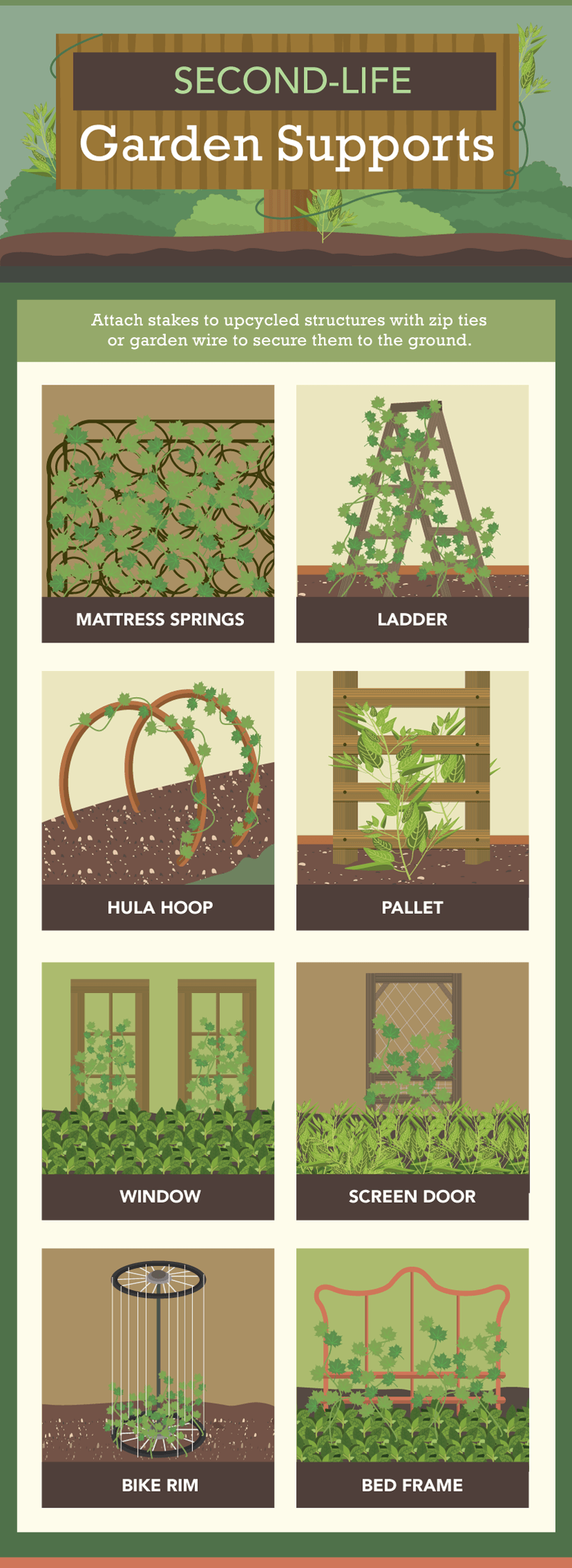 How To Support Garden Plants