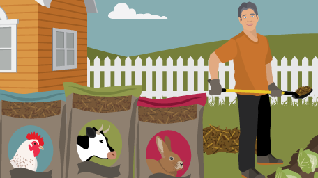 Using Animal Waste as Garden Fertilzer