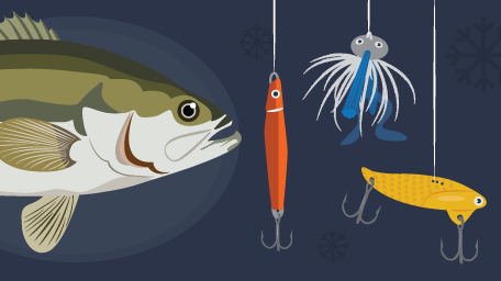 Winter Bass Fishing Strategies