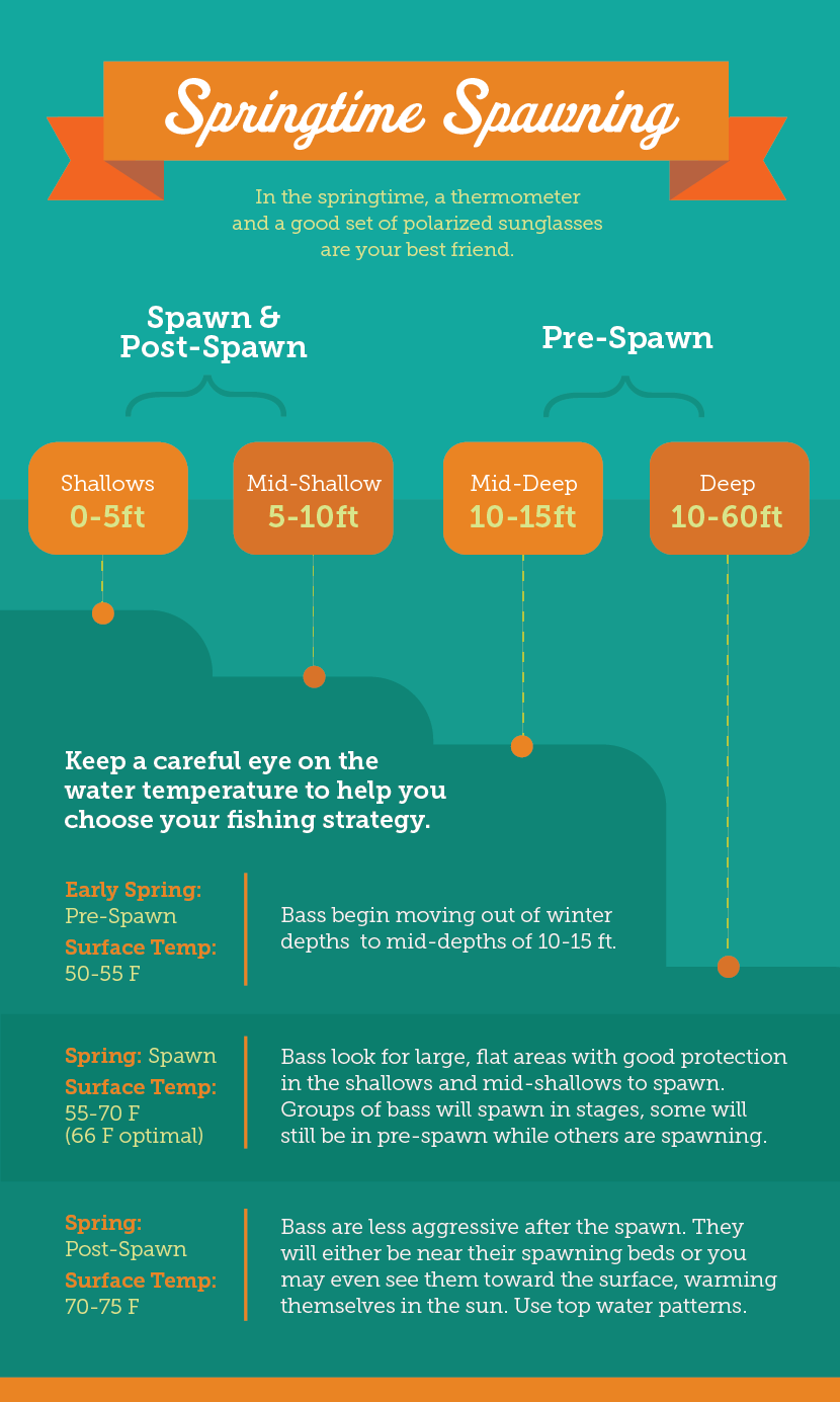 How to Find Bass During the Pre Spawn, Spawn and Post Spawn