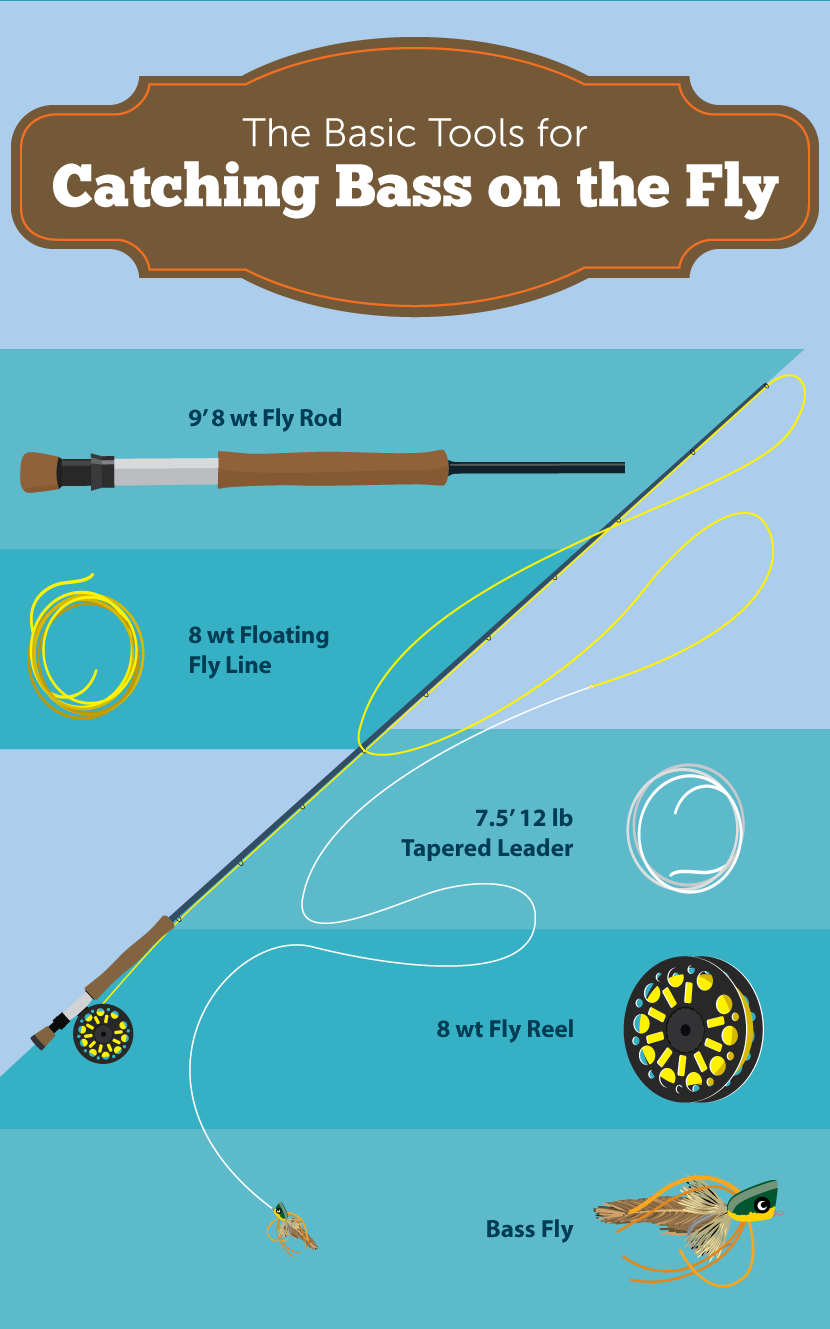 How to Catch Bass With a Spinning Rod