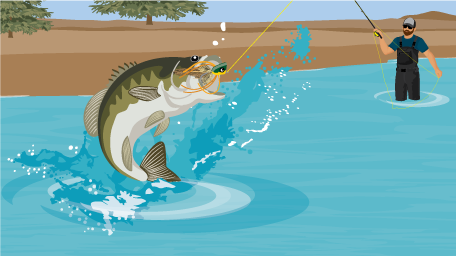 How to Catch Bass on a Fly Rod