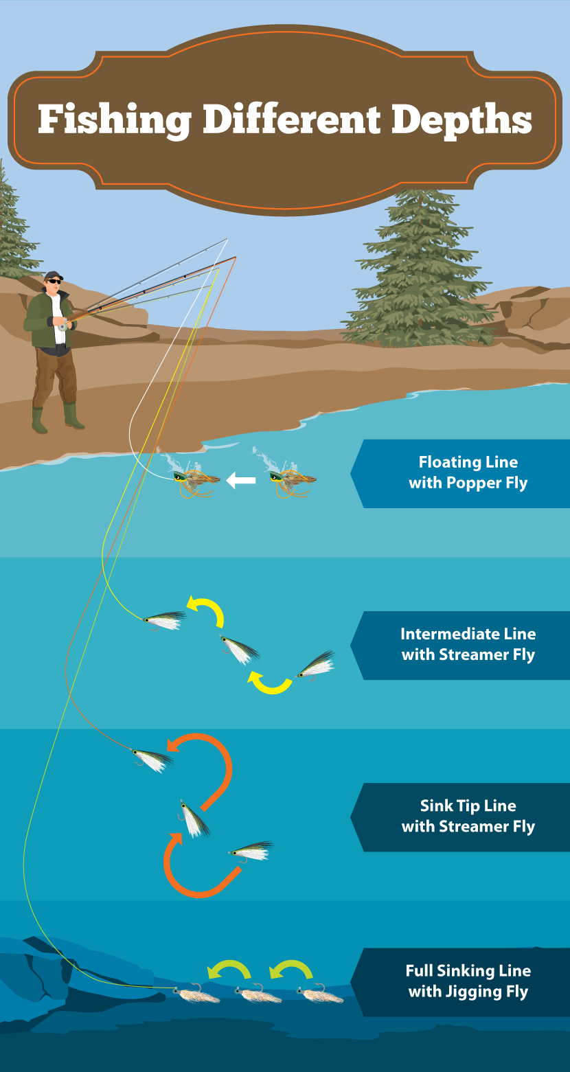Sink Tip Float Line, Sinking fly fishing line