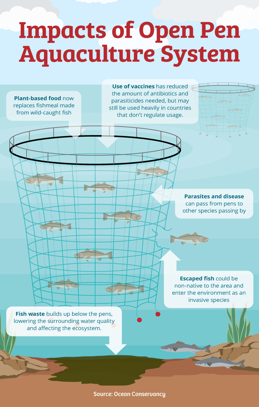 Improvements in the Practice of Fish Farming