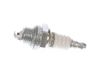Plug-spark – Part Number: 870174001