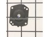10034290-1-S-Walbro-95-552-8-Diaphragm Assembly - Metering