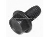 10044169-1-S-Porter Cable-D21172-Screw .250-20X.500 H