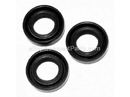 10049723-1-M-Campbell Hausfeld-PM256300SV-Water Seal Kit (Includes 3 Seals)