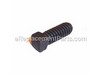10050613-1-S-Porter Cable-SS-391-Screw .250-20 .625 S
