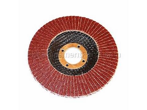 10087026-1-M-Ryobi-AG45062-Abrasive Mop Disc