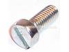 10105916-1-S-Porter Cable-1246001-Mach Screw