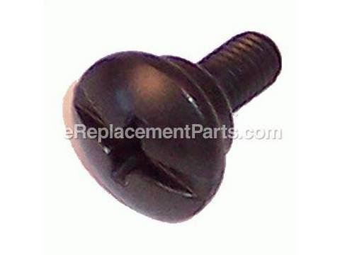 10106326-1-M-Porter Cable-1349953-Special Screw