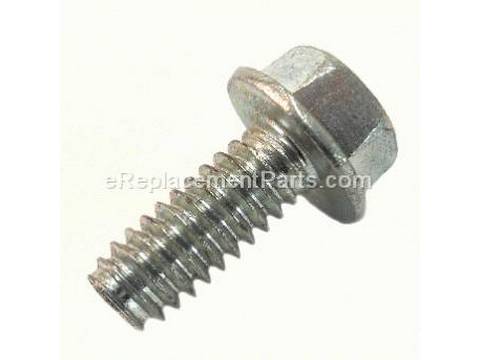 10106747-1-M-Porter Cable-39124607-Screw .250-20X.625 H