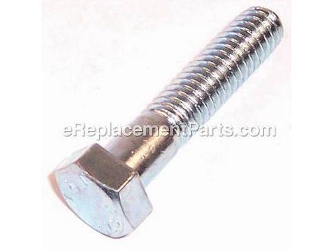 10114912-1-M-Porter Cable-95829230-Screw .313-18X1.50 H