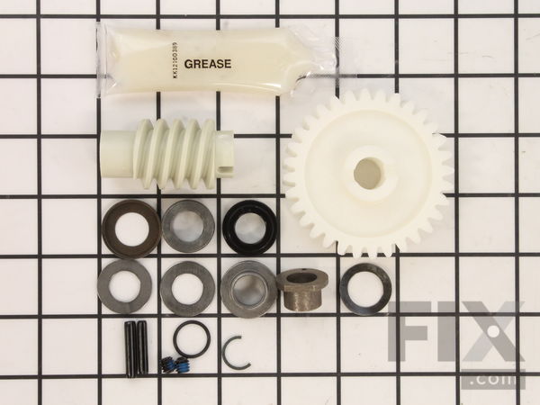 10290109-1-M-Chamberlain-41A2817-Drive/Worm Gear Kit With Grease, Roll Pins