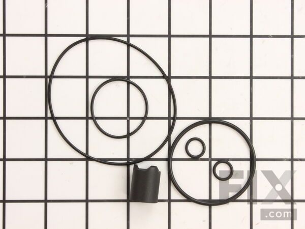 17016595-1-M-Wagner-525148-O-Ring And Valve Kit