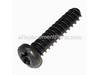 SCREW – Part Number: 1619P01505