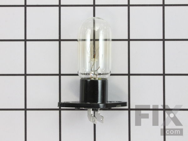247776-2-M-GE-WB36X951          -Light Bulb and Socket