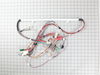Washer Harness – Part Number: 137288500