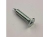 Special Screw – Part Number: 6009-001475