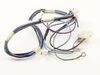 HARNESS-WIRING – Part Number: 242095804