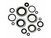 8938845-1-S-Briggs and Stratton-250B2327GS-Kit, O-Rings, Unloader