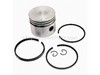 Piston Assy-std – Part Number: 295587
