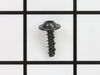 9065556-2-S-Briggs and Stratton-691677-Screw (Rotating Screen)