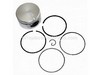 Piston Assembly-020 – Part Number: 799064