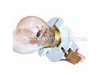 Headlight Assembly – Part Number: 925-0051
