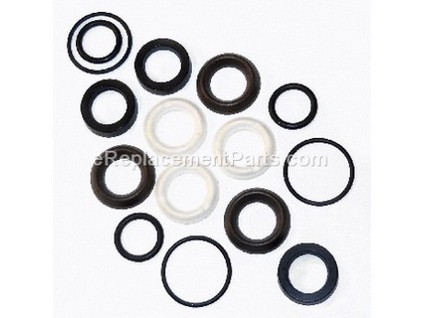 9269671-1-M-Briggs and Stratton-198845GS-Kit,Water Seals